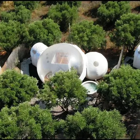 Bubble Tent
