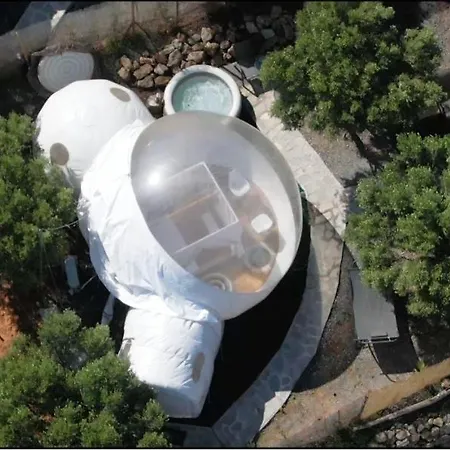 Luksusowy namiot Bubble Tent